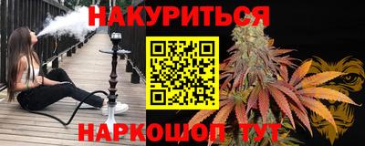крисы Новодвинск