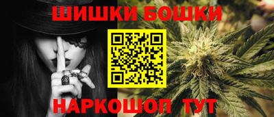 крисы Новодвинск