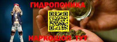 крисы Новодвинск
