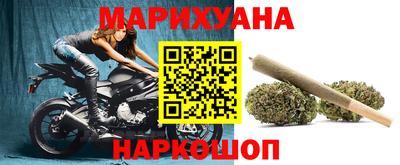 крисы Новодвинск