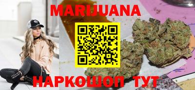 крисы Новодвинск