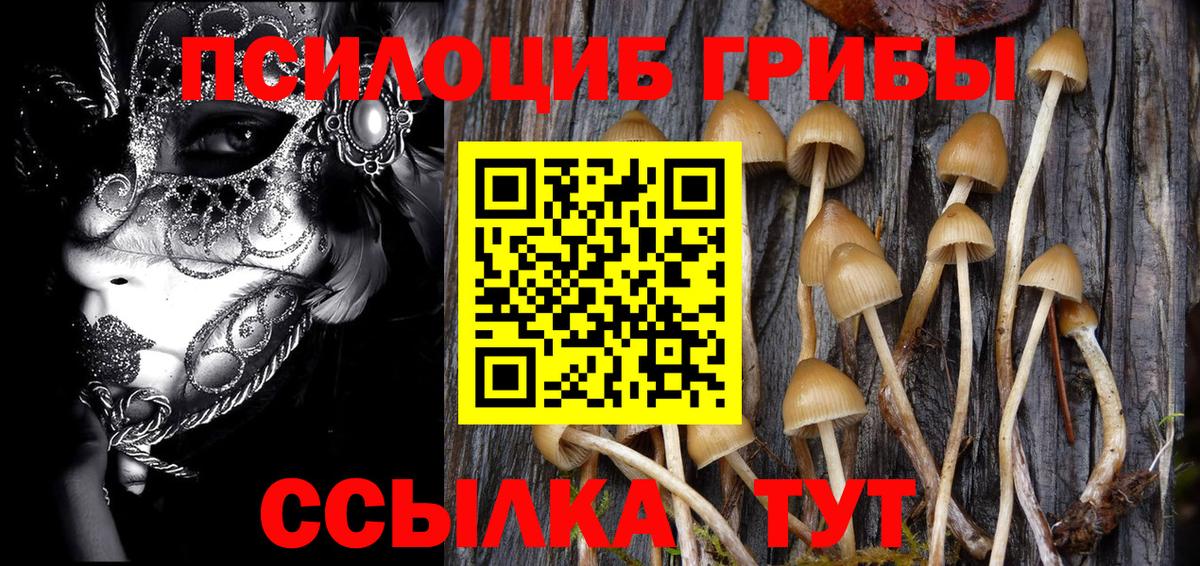 Псилоцибиновые грибы мухоморы  где можно купить наркотик  Пушкино  Вход с VPN 
