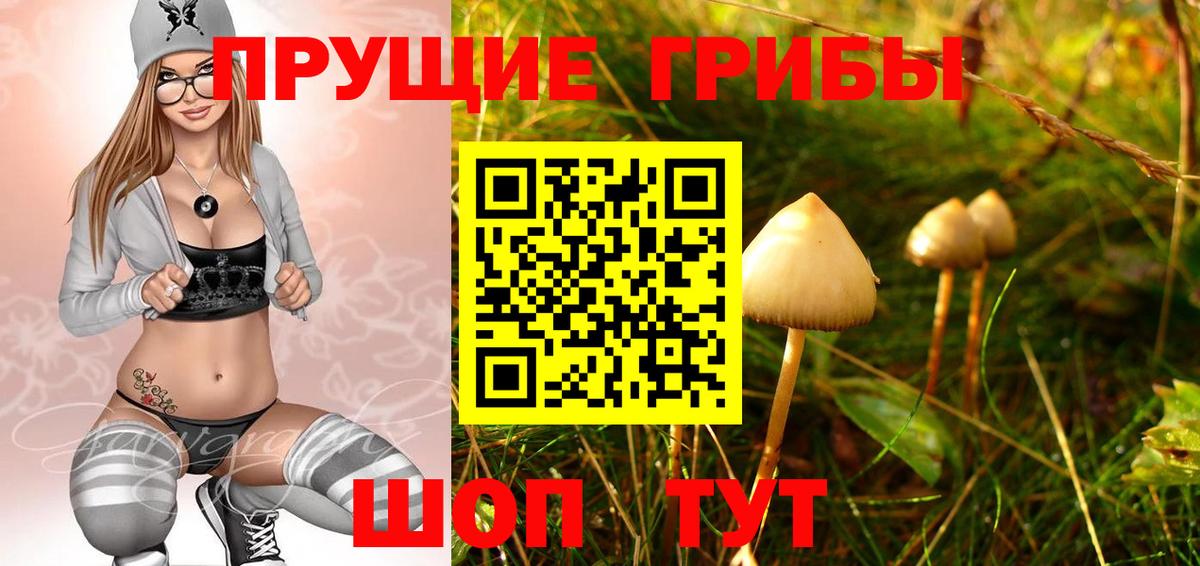 Псилоцибиновые грибы GOLDEN TEACHER Пушкино